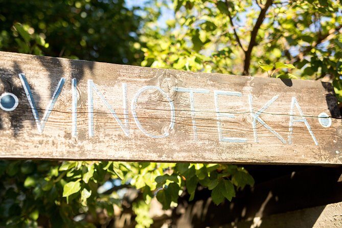 Wine Tasting & Winery Tours - Exploring the Croatian Wines of Vis: A Balanced Review of the Wine Tasting & Winery Tours