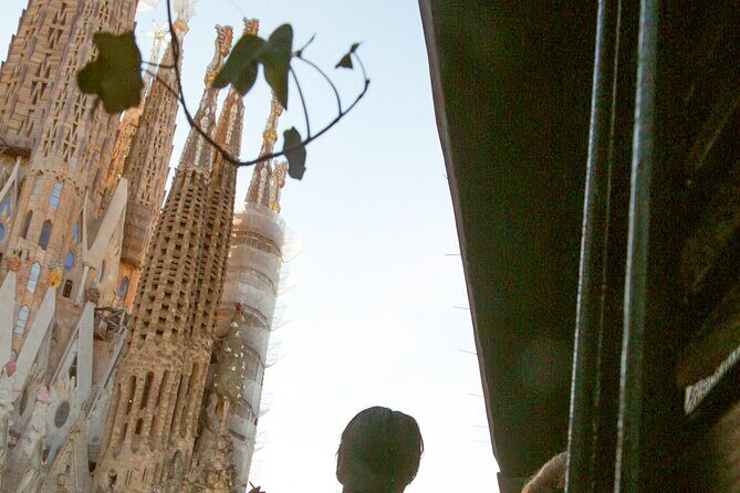 Wine tasting with a view of the Sagrada Familia - Key Points