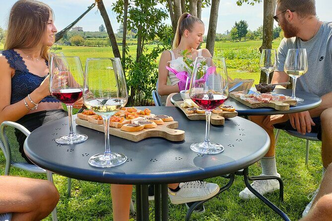 Wine Tasting with Local Food in Lazise Countryside - Who Should Consider This Tour?