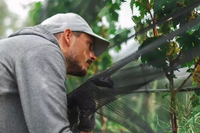 Wine Tasting with the winemaker in Villa Santa Eurosia - A Detailed Look At the Experience