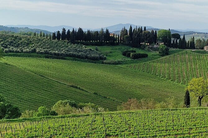 Wine Tour 6 hours 2 top wineries of Chianti Classico Limo Service - A Detailed Look at the 6-Hour Chianti Wine Tour