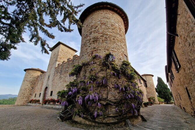 Wine Tour 6 hours 2 top wineries of Chianti Classico Limo Service - An In-Depth Look at the 6-Hour Chianti Wine Tour