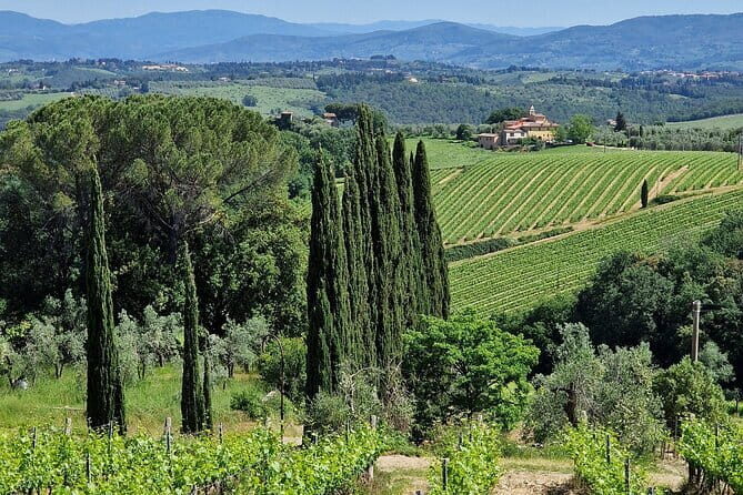 Wine Tour 6 hours 2 top wineries of Chianti Classico Limo Service - FAQ