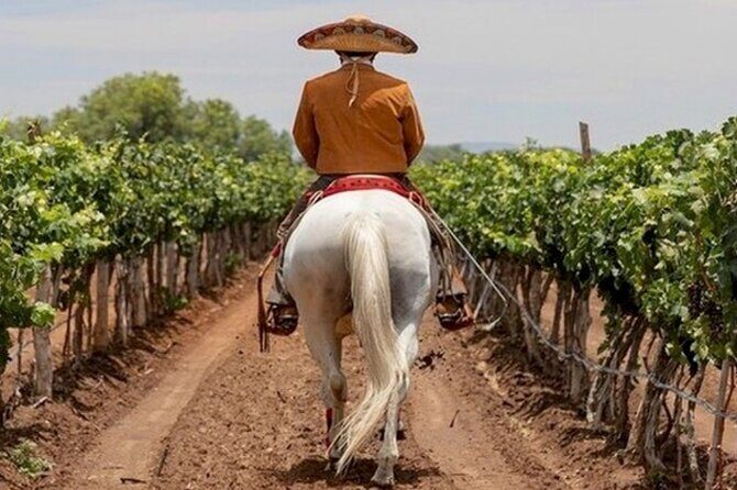 Wine Tour and Horseback Ride through the Mountains of Guanajuato - Exploring the Guanajuato Mountains: Wine Tour and Horseback Ride