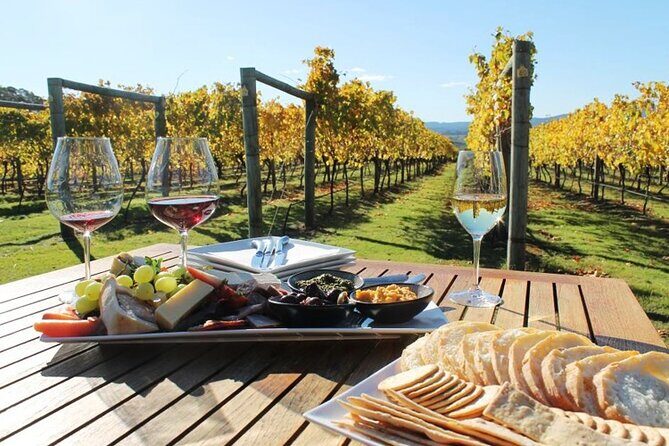 Wine tour and private cooking class 6 hours - A Close Look at the 6-Hour Wine Tour and Private Cooking Class in Santorini