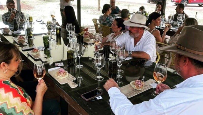 Wine tour and tasting at Vinícola Tierra de Luz - Practical Details and Tips