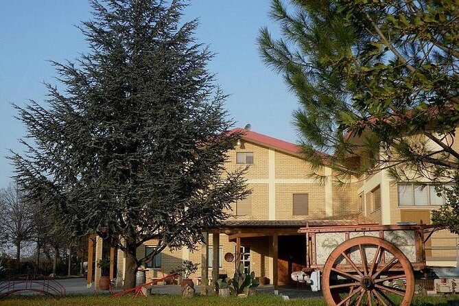 Wine tour and Tasting in Nocciano - FAQs