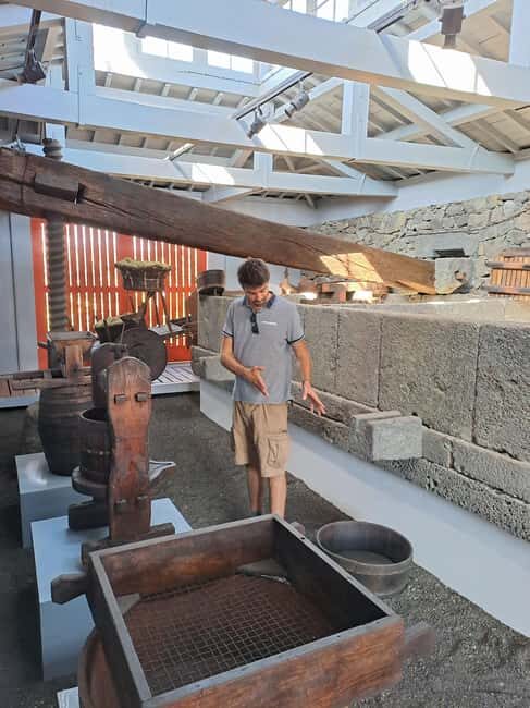 Wine Tour and Tasting with a local Winemaker at Pico Island - The Sum Up