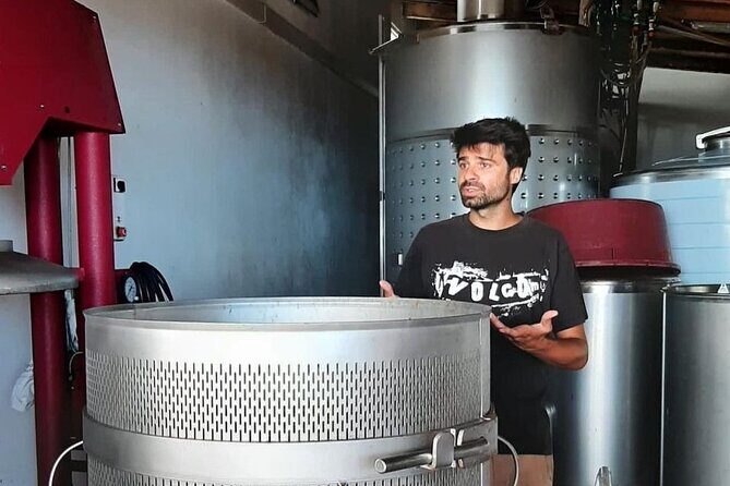 Wine tour and Tasting with a local Winemaker at Pico Island - Final Thoughts: Is This Tour for You?