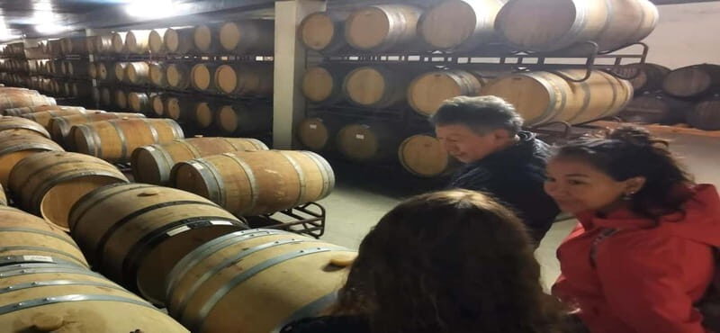 Wine Tour and traditional Portuguese tiles in Half Day Tour - Second Winery and Tasting