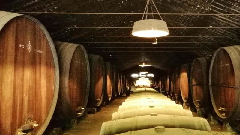 Wine Tour and traditional Portuguese tiles in Half Day Tour - Scenic Drive Over the 25 de Abril Bridge