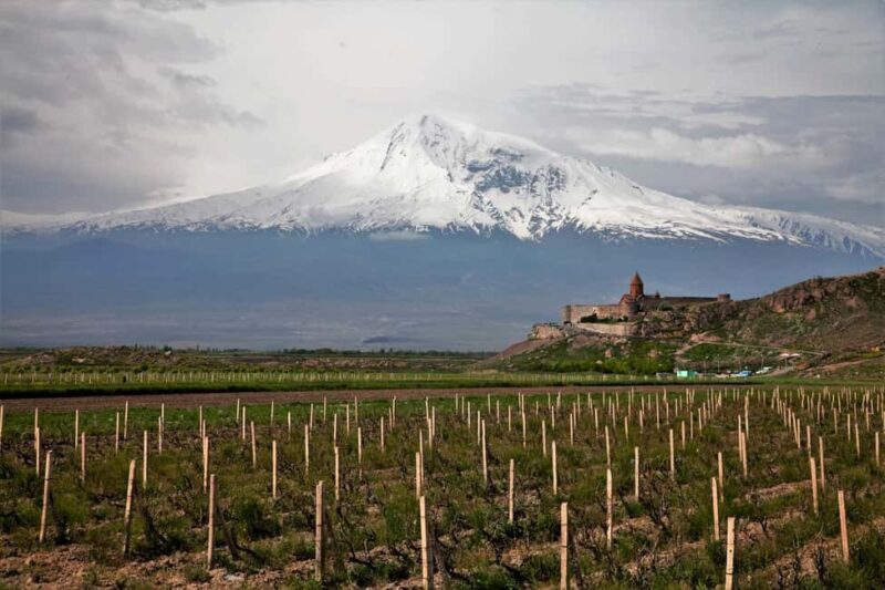 Wine tour Areni Noravank Khor Virap Areni cave - The Sum Up: Who Will Love This Tour?