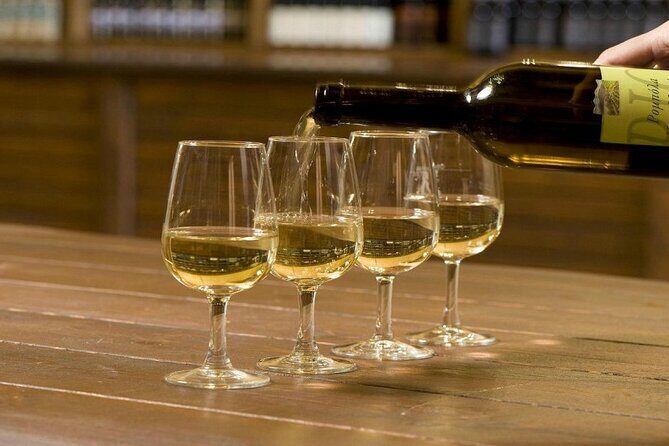 Wine Tour Athens to visit 2 of the most Award-Winning Wineries - Introduction