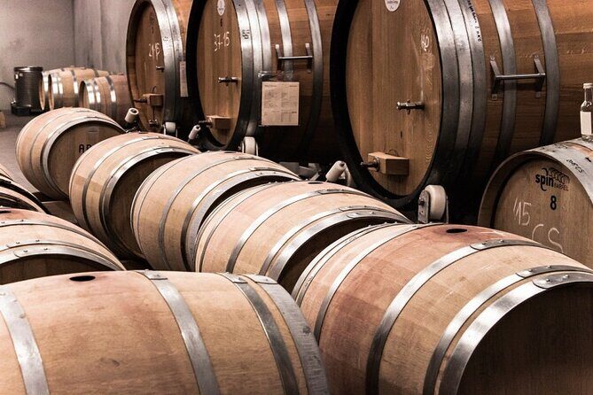 Wine Tour Athens to visit 2 of the most Award-Winning Wineries - Key Points