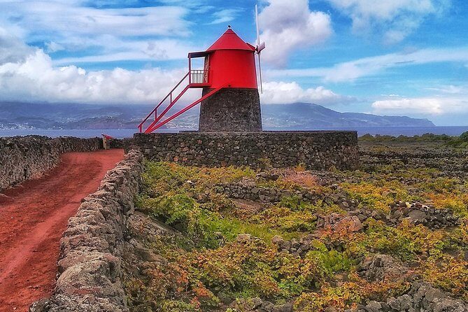 Wine Tour - A Deep Dive Into the Pico Wine Tour Experience