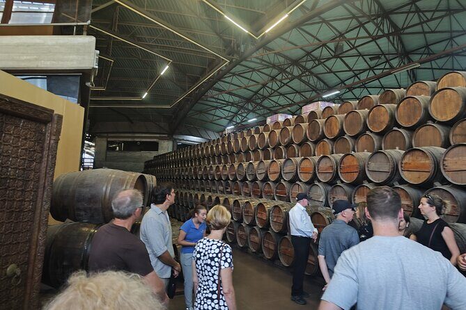 Wine Tour, discovering the famous Setúbal Moscatel - FAQ