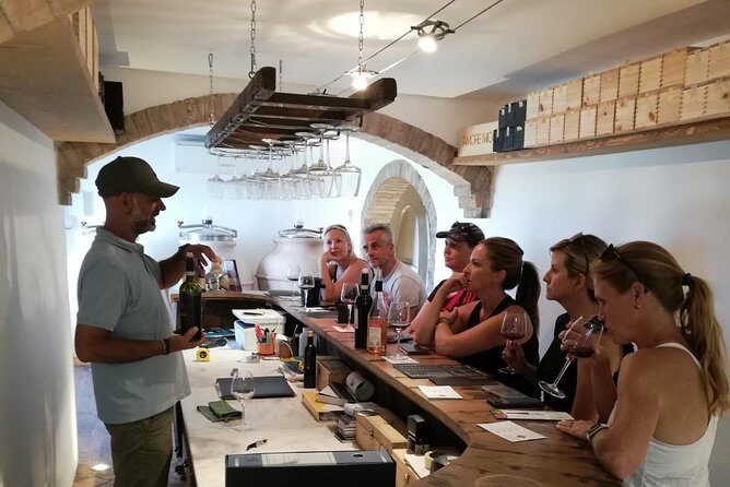 Wine Tour Ebike Experience - An In-Depth Look at the Wine Tour Ebike Experience