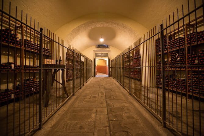 Wine Tour Experience - Exploring the Wine Tour Experience at Capezzana in Florence