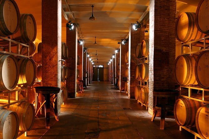 Wine Tour Experience - The Itinerary: What You Can Expect