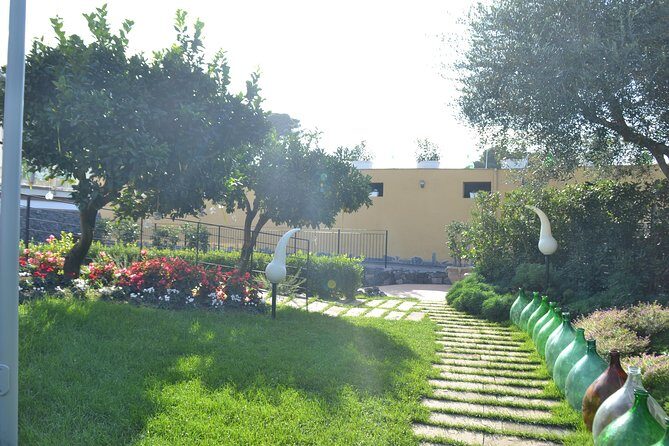 Wine Tour Experience for Family or friend's group - A Closer Look at the Itinerary and What You Can Expect