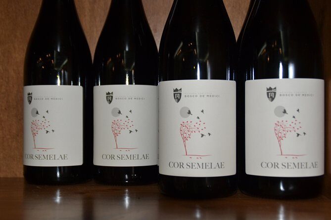 Wine Tour Experience for Family or friend's group - Final Thoughts: Is It Worth It?