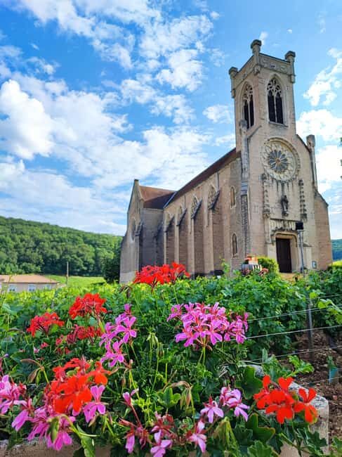 Wine tour in Pouilly Fuissé - An In-Depth Review of the Pouilly-Fuissé Wine Tour