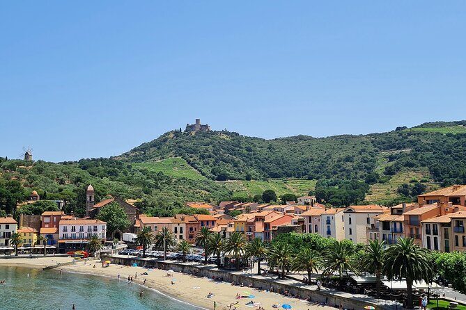 Wine Tour in Roussillon: Picnic & Tasting Day - An In-Depth Look at the Roussillon Wine Tour