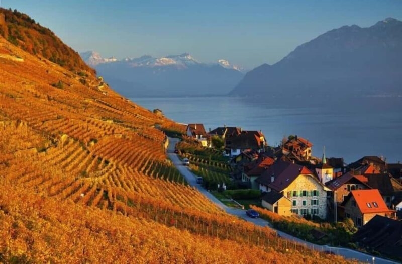 Wine tour in the canton of Vaud - Lavaux vineyards - Final Thoughts