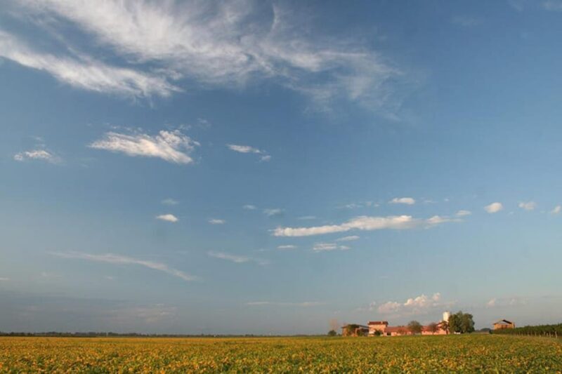 Wine Tour in the Hemingway lands close to Caorle Lagoon - A Deep Dive into the Experience