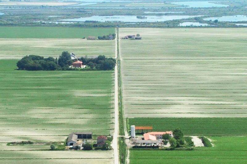 Wine Tour in the Hemingway lands close to Caorle Lagoon - What Travelers Say About This Tour