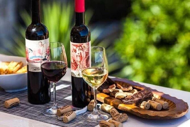 Wine tour Korula - private tour - A Closer Look at the Korcula Private Wine Tour