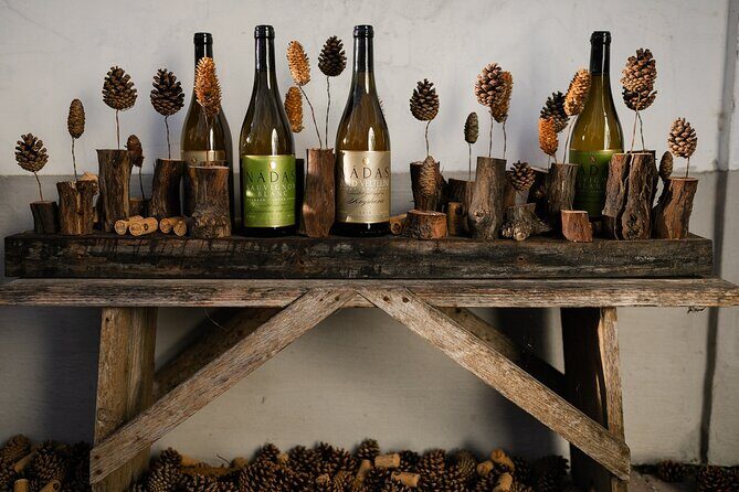 Wine Tour of Etyek from Budapest, taste even 7 kinds of wines! - Final Thoughts: Is This Tour Worth It?