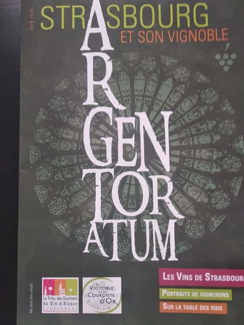 Wine tour of the Alsace wine route - An In-Depth Look at the Experience