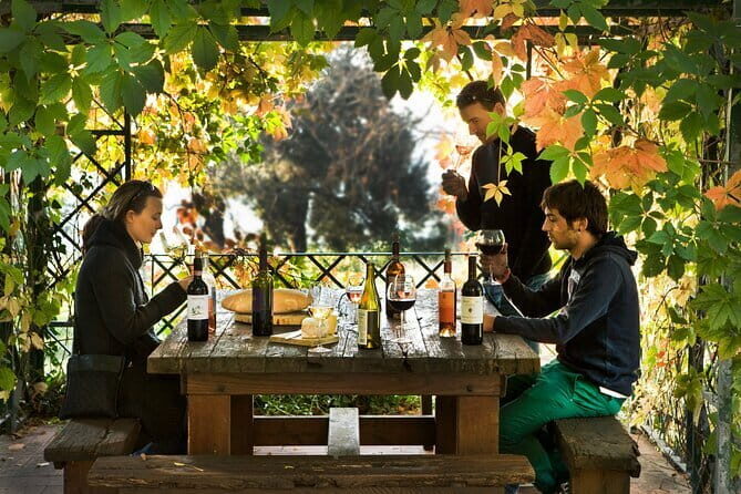 Wine Tour of two Chianti wine estates on the hills of Florence - FAQs