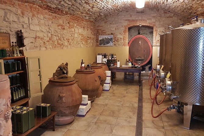 Wine Tour of two Chianti wine estates on the hills of Florence - Who Should Consider This Tour?