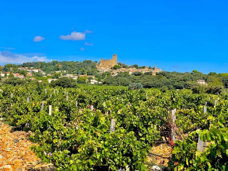 Wine Tour: On the Way to Chateauneuf du Pape - Final Thoughts
