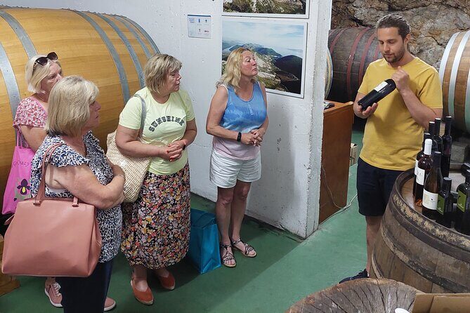 Wine tour Peljesac - Practical Details and Tips