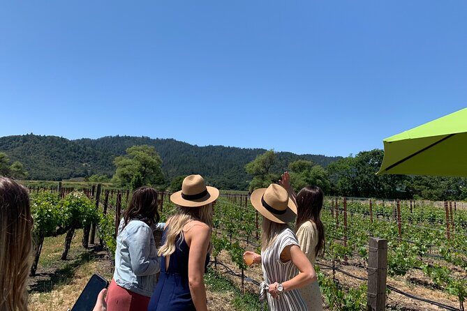 Wine Tour Pros - Napa Wine Tour: SUV Up To 6 Guests - Key Points