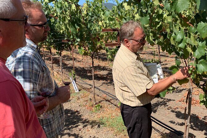Wine Tour Pros - Napa Wine Tour: SUV Up To 6 Guests - Final Thoughts