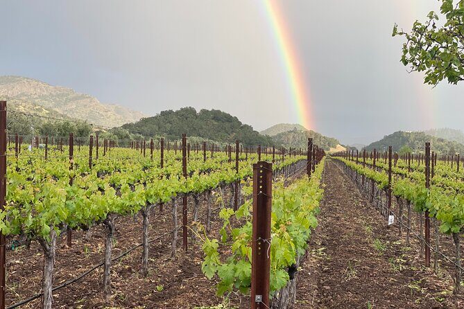 Wine Tour Pros - Sprinter Van Wine Tour: Up To 14 Guests - Setting the Scene: Why Choose a Sprinter Van Tour?