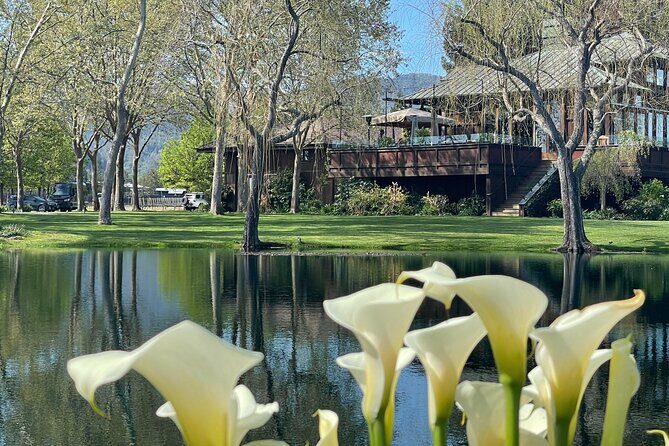 Wine Tour Pros - Sprinter Van Wine Tour: Up To 14 Guests - Is It Worth the Price?