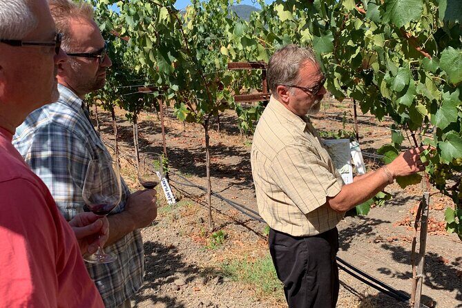 Wine Tour Pros - Wine Tour in Napa Valley: SUV For Up To 6 Guests - FAQs