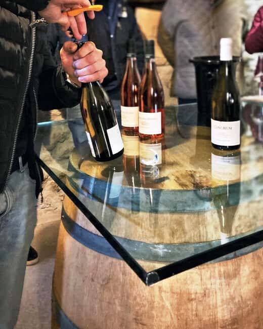 Wine Tour & Tasting of 6 Wines  Le Macchie, near Rome - Key Points