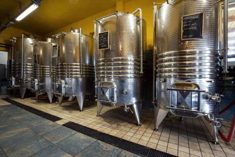 Wine Tour & Tasting of 6 Wines  Le Macchie, near Rome - A Deeper Look into the Experience