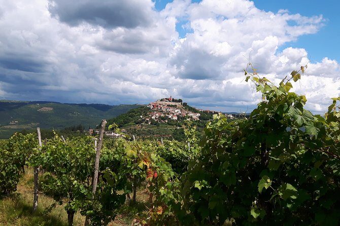 Wine Tour - The Best of Istria - The Breakdown of the Day: From Vineyards to Views