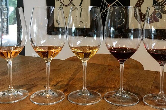 Wine Tour - The Best of Istria - Authentic Insights from Reviews