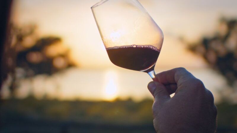 Wine Tour through the vineyards with tasting by Salt Lake - An In-Depth Look at the Wine and Nature Experience