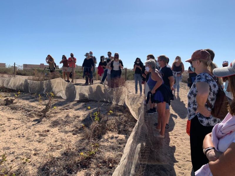 Wine Tour through the vineyards with tasting by Salt Lake - The Sum Up