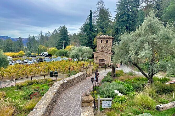 Wine Tour Transportation Services in Napa Valley - A Closer Look at the Napa & Sonoma Experience