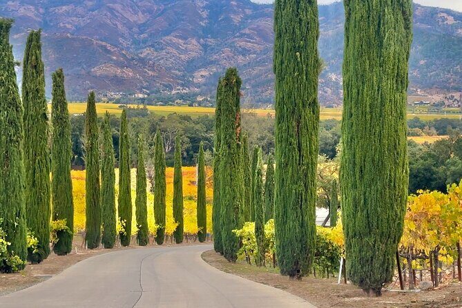 Wine Tour Transportation Services in Napa Valley - Summary: Who Is This Tour Best For?